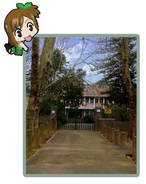 Picture of a School entrance in Newlands